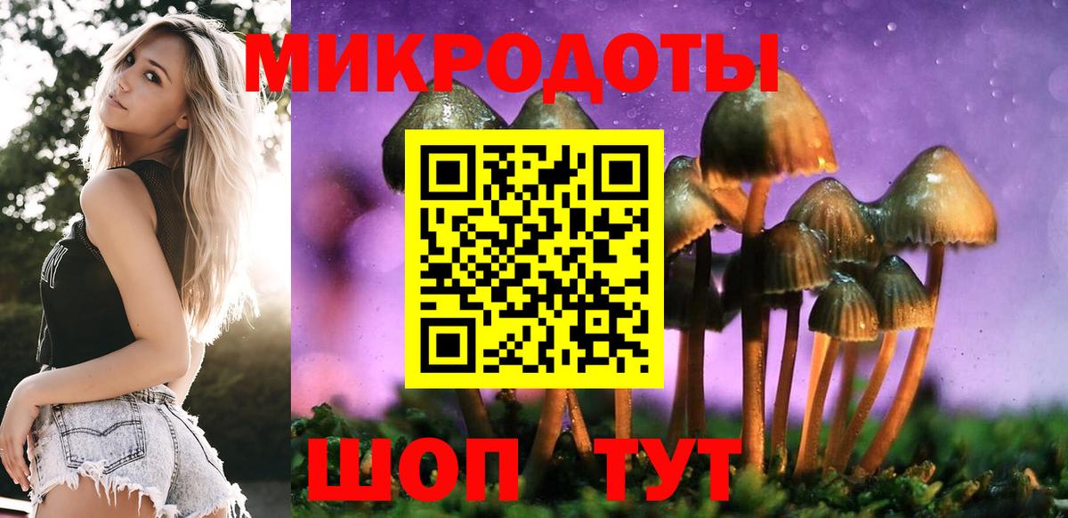 Кемерово  Галлюциногенные грибы мухоморы  Вход с VPN  Псилоцибиновые грибы MAGIC MUSHROOMS 